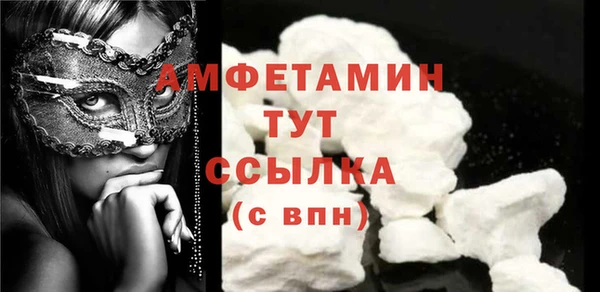 стаф Тутаев