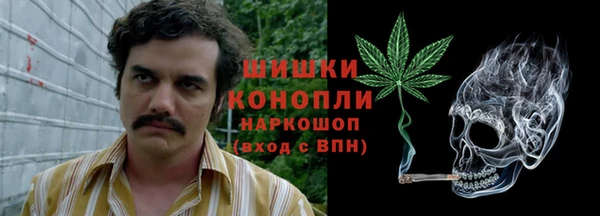 стаф Тутаев