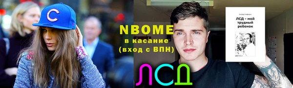 стаф Тутаев