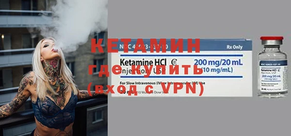 стаф Тутаев