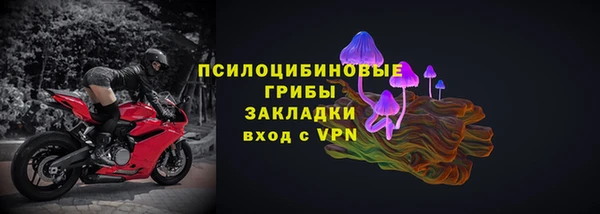 стаф Тутаев