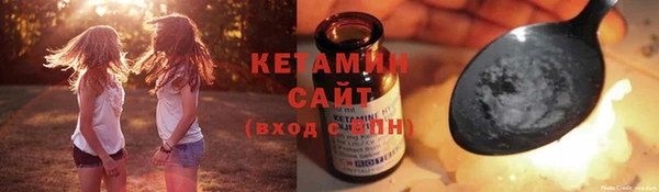 стаф Тутаев