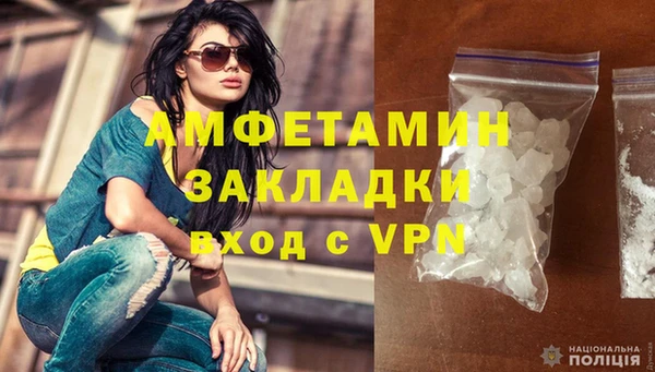 стаф Тутаев