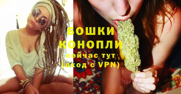 стаф Тутаев