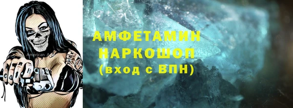 стаф Тутаев