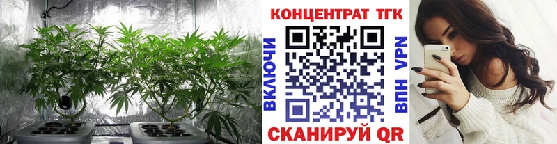 наркотики  Беломорск  blacksprut как зайти  ТГК вейп с тгк 