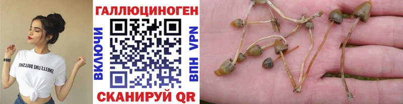 Псилоцибиновые грибы GOLDEN TEACHER  даркнет состав  Беломорск 